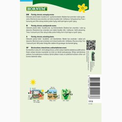 Indianermynte, Alm. Anisisop (min. 200 fr)