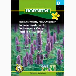Indianermynte (Alm. anisisop) � Agastache foeniculum � Fr� (min. 200 stk.)