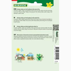 Pebermynte (min. 100 fr)