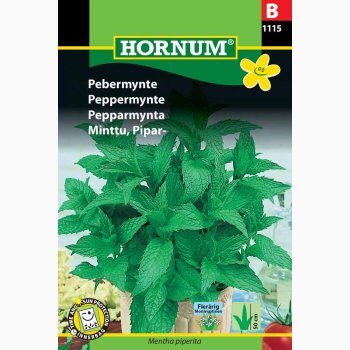 Pebermynte (min. 100 fr)