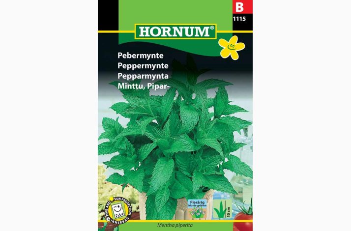 Pebermynte (min. 100 fr)
