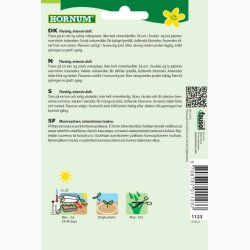 Rosmarin officinalis - Rosmarin (min. 20 fr)