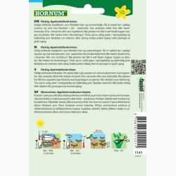 Appelsin Timian - Thymus Orange (min. 100 fr)