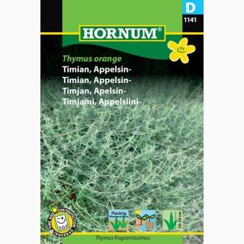 Appelsin Timian - Thymus Orange (min. 100 fr)