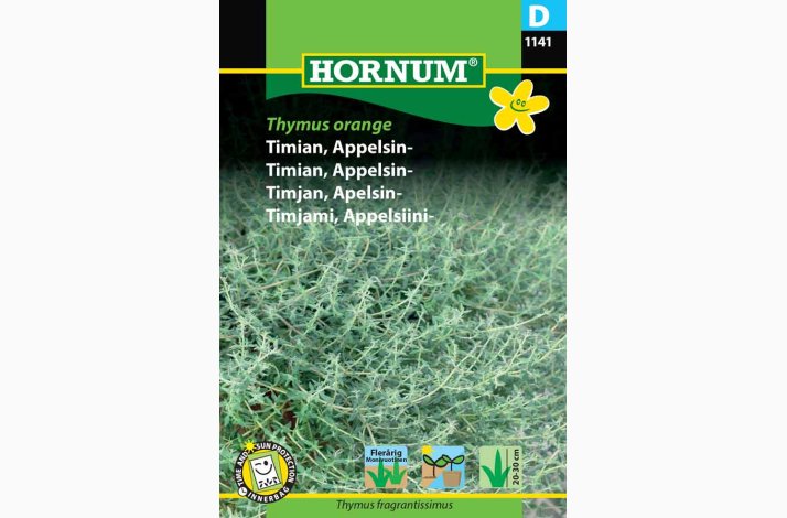 Appelsin Timian - Thymus Orange (min. 100 fr)