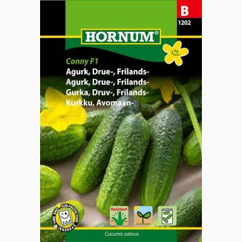 Agurk, Drue-, Frilands-, Conny F1 (min. 20 fr)