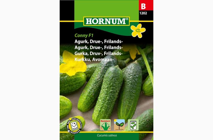 Agurk, Drue-, Frilands-, Conny F1 (min. 20 fr)
