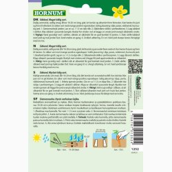 Gulerod, Sommer-, Laguna F1, Sbnd