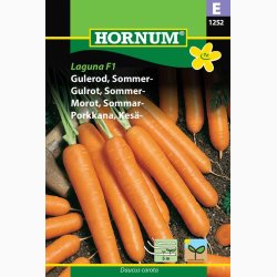 Gulerod, Sommer-, Laguna F1, Sbnd