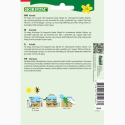 Grnklfr Kl, Grn-, Halbhoher grner krauser (min. 90 fr)