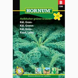 Grnklfr Kl, Grn-, Halbhoher grner krauser (min. 90 fr)