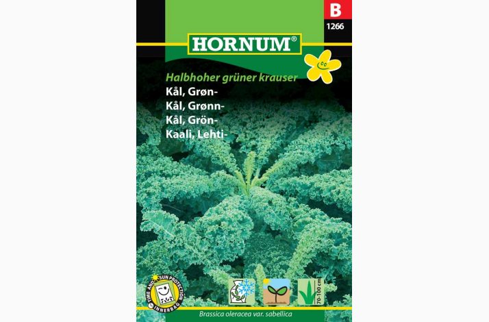 Grnklfr Kl, Grn-, Halbhoher grner krauser (min. 90 fr)