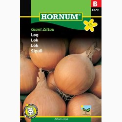 Lg, Zittauer Giant Zittau (min 150 fr)