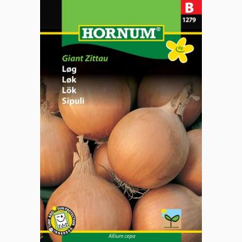 Lg, Zittauer Giant Zittau (min 150 fr)