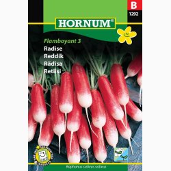 Radise, Flamboyant 3 (min. 250 fr)