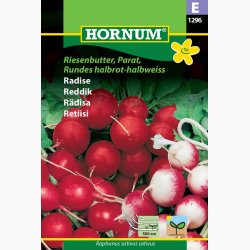 Radise, kombination, sbnd