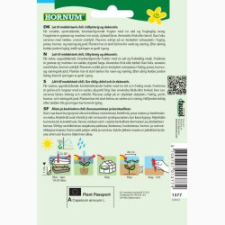 Chilifr Ciliegia piccante