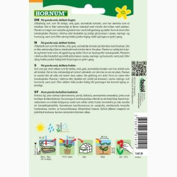 Tomat, Ribs-, "Vild tomat" Golden Currant