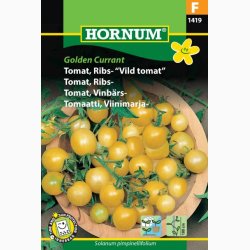 Tomat, Ribs-, "Vild tomat" Golden Currant