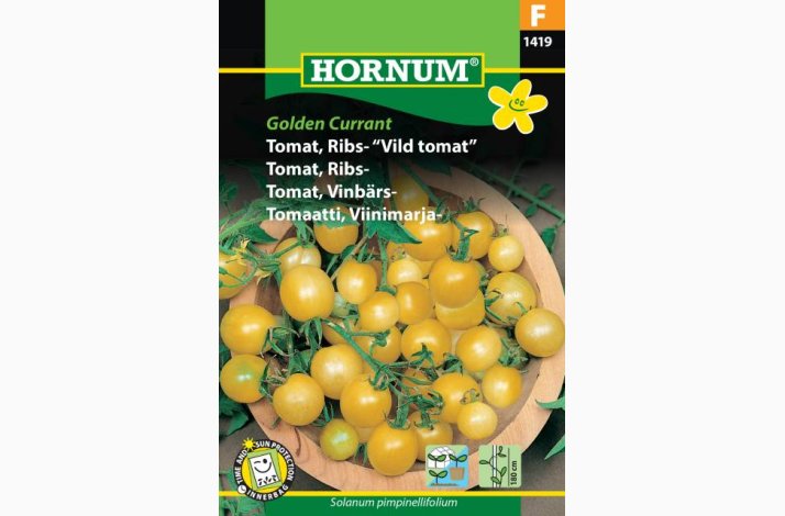 Tomat, Ribs-, "Vild tomat" Golden Currant