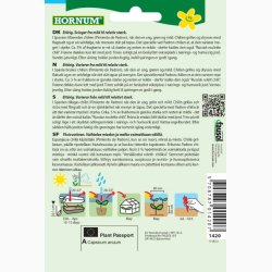 Chili, "Russisk roulette", Padron