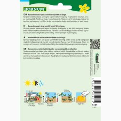 Grskar, Centner-, Pink Banana Jumbo