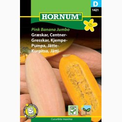 Grskar, Centner-, Pink Banana Jumbo