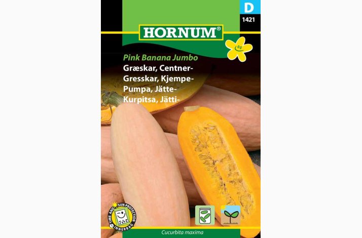 Grskar, Centner-, Pink Banana Jumbo