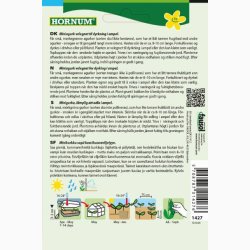 Agurk, Salat-, Ampel-, Hopeline F1 (min 2 fr)