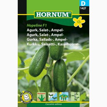 Agurk, Salat-, Ampel-, Hopeline F1 (min 2 fr)