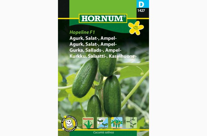 Agurk, Salat-, Ampel-, Hopeline F1 (min 2 fr)