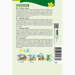 Agurk, Asie-, Frilands- Kampino - Asieagurk