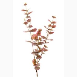 Kunstig Plante Eucalyptus gren 70 cm Lilla/rdlige farver