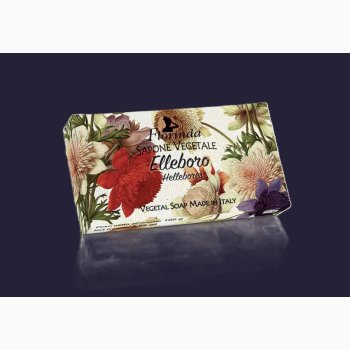 Hndsbe 100 G - Hellebores - Julerose  - Florinda