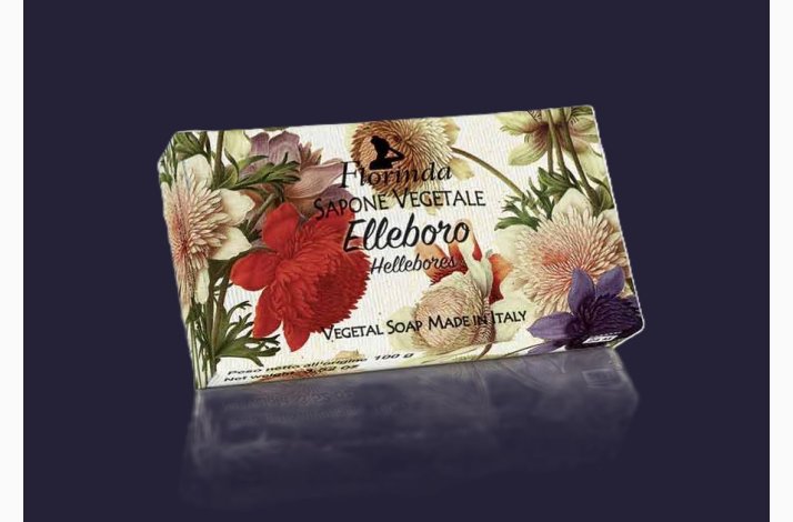 Hndsbe 100 G - Hellebores - Julerose  - Florinda