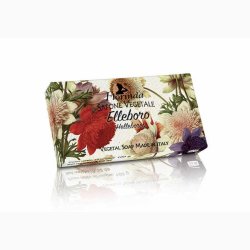 Hndsbe 100 G - Hellebores - Julerose  - Florinda
