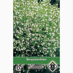 Calamintha Nepeta - Bjergmynte (ca. 200 fr)