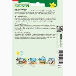 Asters, Pompon-, blanding, Pompon (min. 80 fr)