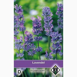 �gte lavendel � Lavandula angustifolia � Fr� (ca. 200 stk.)
