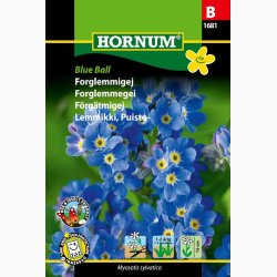 Forglemmigej, Blue Ball (Min. 200 fr)