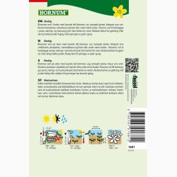 Forglemmigej, Blue Ball (Min. 200 fr)