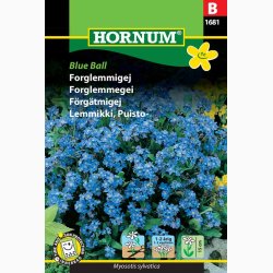Forglemmigej � Myosotis sylvatica �Blue Ball� � Fr� (min. 200 stk.)
