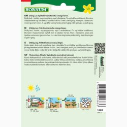 Blomsterfr, Frkenhat, blanding, Liliput (min. 70 fr)