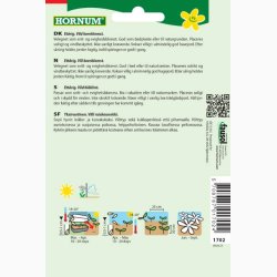 Kornblomst, Blue Heaven (min. 100 fr)