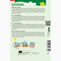 Solsikke - Helianthus annuus Giant - Solsikke (min.15 fr)