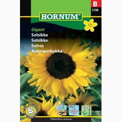 Solsikke - Helianthus annuus Giant - Solsikke (min.15 fr)