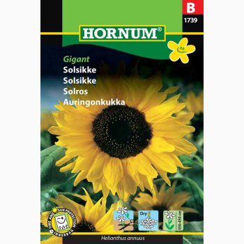 Solsikke - Helianthus annuus Giant - Solsikke (min.15 fr)