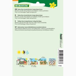 Viola x Wittrockiana Rococo - Stedmoderblomst