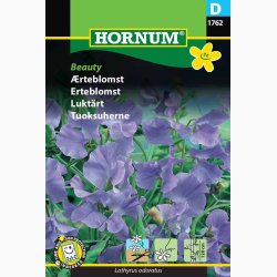 rteblomst, Beauty (min.30 fr)