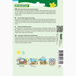 Blomsterfr Frkenhat, blan. Queeny Red and Lime (min. 10 fr)